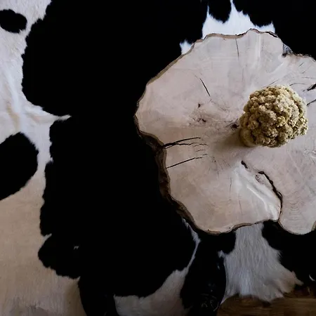 Stargazer's Haven Apartament *